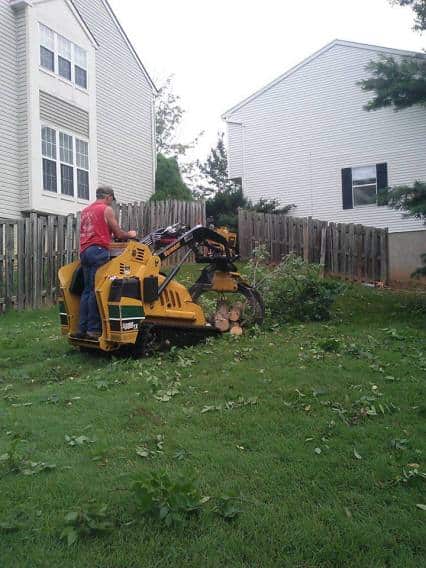 Completed tree work in Montgomery County
