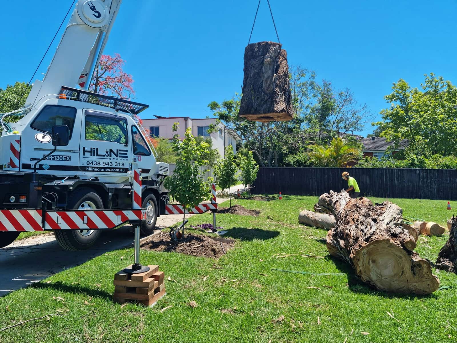 Commercial and residential tree services